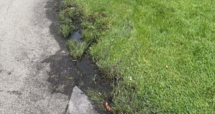 Leak at the lawn edge